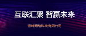 “互聯(lián)聚匯，智贏未來” 2019焦作青峰全網(wǎng)合作峰會圓滿成功！