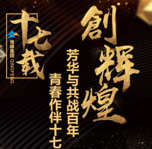 【最佳作品獎(jiǎng)】青峰“十七歲花季”綻放歷程——青春作伴十七載，芳華與共戰(zhàn)百年